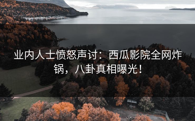 业内人士愤怒声讨：西瓜影院全网炸锅，八卦真相曝光！