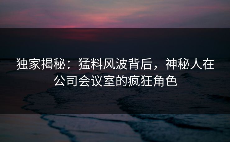 独家揭秘：猛料风波背后，神秘人在公司会议室的疯狂角色